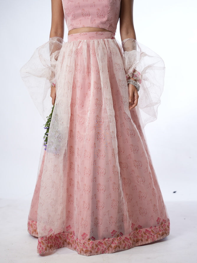 Pink Printed Lehenga Set with Sheer Drapes